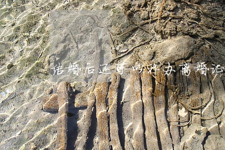 结婚后还可以补办离婚证 结婚后还可以补办离婚证