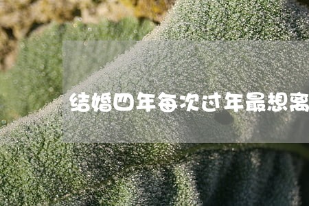 结婚四年每次过年最想离婚