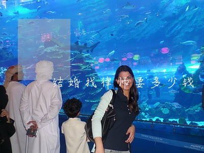 结婚找律师要多少钱 结婚找律师要多少钱