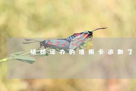 结婚证办的信用卡逾期了怎么办 结婚证办的信用卡逾期了怎么办