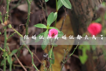 结婚证和离婚证都丢失了怎么办