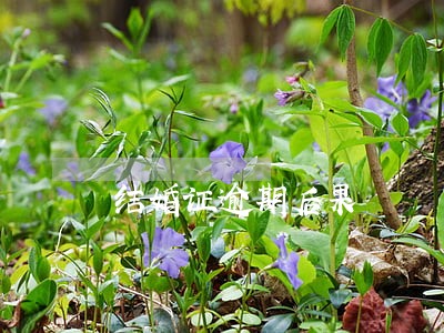 结婚证逾期后果 结婚证逾期后果