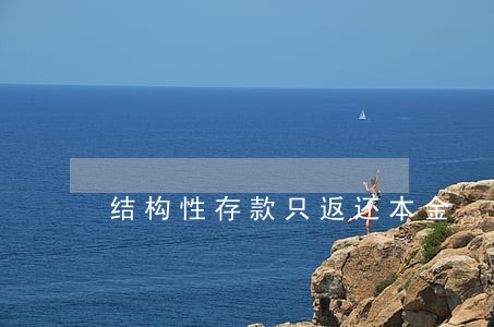 结构性存款只返还本金 结构性存款只返还本金