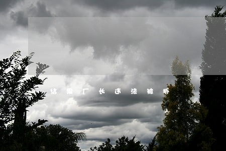 结果厂长违法被抓 结果厂长违法被抓