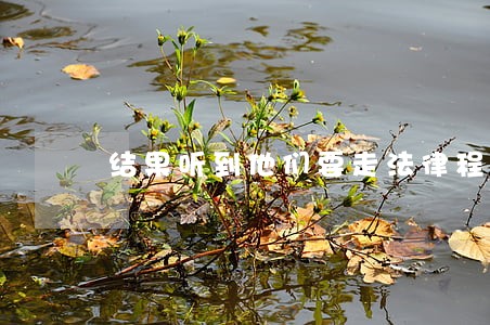 结果听到他们要走法律程序 结果听到他们要走法律程序