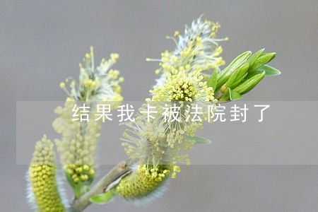 结果我卡被法院封了 结果我卡被法院封了