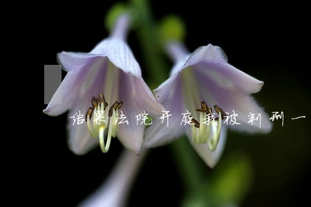 结果法院开庭我被判刑一年 结果法院开庭我被判刑一年