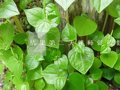 结果第二天律师就被他收购了 结果第二天律师就被他收购了