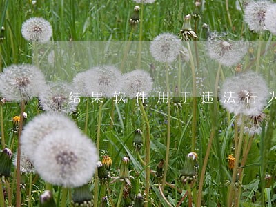 结果软件用于违法行为了 结果软件用于违法行为了
