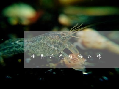 结果还是败给法律 结果还是败给法律
