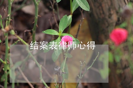 结案表律师心得 结案表律师心得