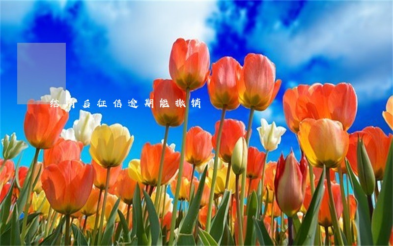 结清后征信逾期能撤销 结清后征信逾期能撤销