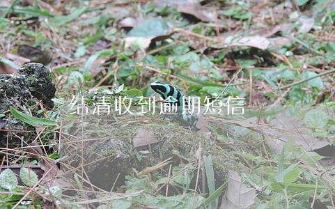 结清收到逾期短信 结清收到逾期短信