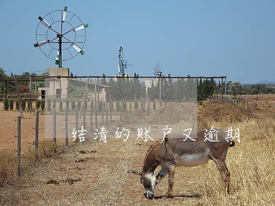 结清的账户又逾期 结清的账户又逾期
