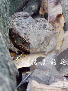 结清的逾期次数会随月份减少吗 结清的逾期次数会随月份减少吗