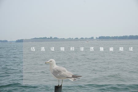 结清证明和非恶意逾期证明模板 结清证明和非恶意逾期证明模板