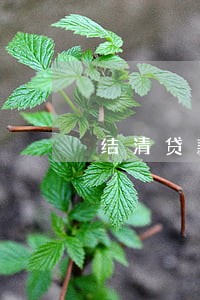 结清贷款逾期第三方代偿 结清贷款逾期第三方代偿