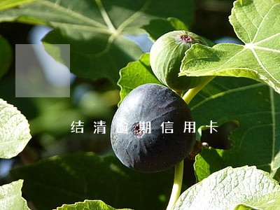 结清逾期信用卡