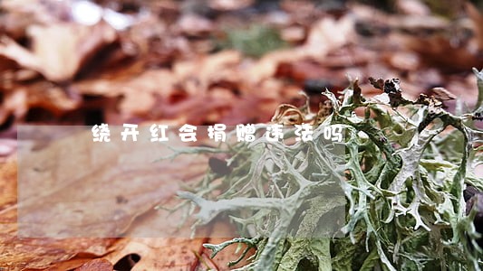 绕开红会捐赠违法吗 绕开红会捐赠违法吗