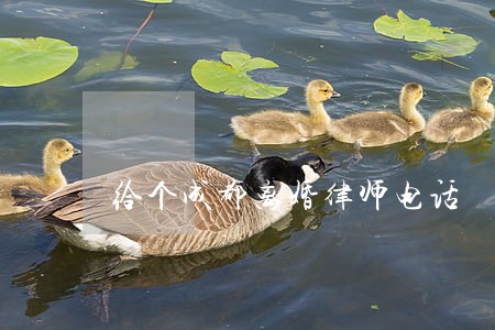 给个成都离婚律师电话 给个成都离婚律师电话