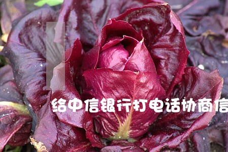 给中信银行打电话协商信用卡逾期 给中信银行打电话协商信用卡逾期