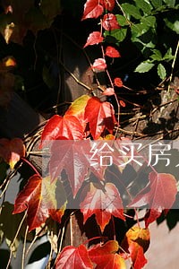 给买房人发逾期签约通知书 给买房人发逾期签约通知书