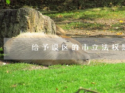 给予设区的市立法权是否合乎宪法 给予设区的市立法权是否合乎宪法