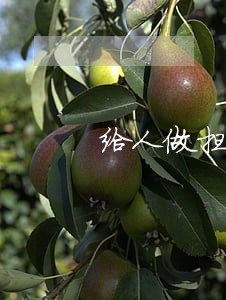 给人做担保对方逾期了我想贷款 给人做担保对方逾期了我想贷款
