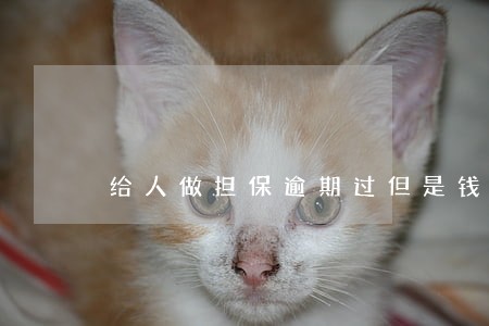 给人做担保逾期过但是钱还上了 给人做担保逾期过但是钱还上了