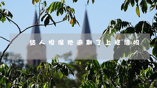给人担保他逾期了上征信吗 给人担保他逾期了上征信吗