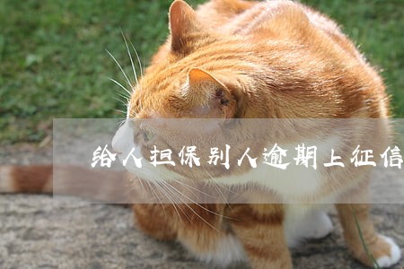 给人担保别人逾期上征信吗