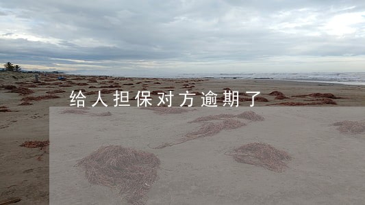 给人担保对方逾期了 给人担保对方逾期了