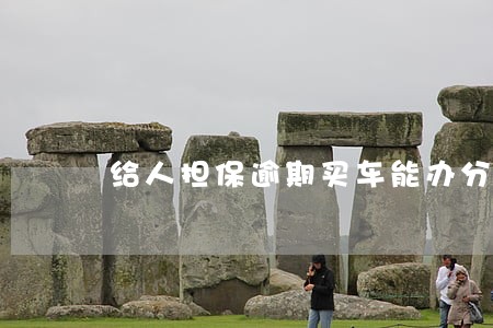 给人担保逾期买车能办分期吗 给人担保逾期买车能办分期吗