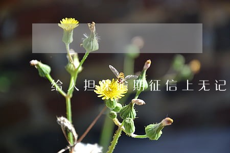 给人担保逾期征信上无记录 给人担保逾期征信上无记录