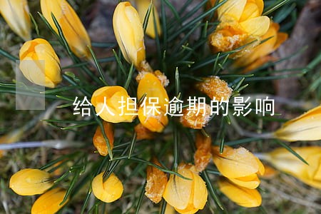 给人担保逾期的影响 给人担保逾期的影响