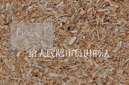 给人民陪审员讲刑法 给人民陪审员讲刑法