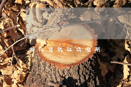 给人贷款征信逾期 给人贷款征信逾期