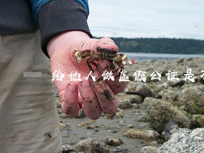 给他人做虚假公证是不是违法 给他人做虚假公证是不是违法