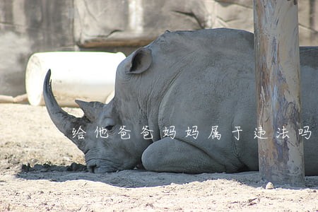 给他爸爸妈妈属于违法吗 给他爸爸妈妈属于违法吗