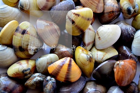给付行政诉讼 给付行政诉讼