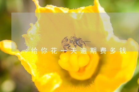 给你花一天逾期费多钱 给你花一天逾期费多钱