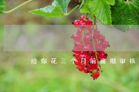给你花三个月前逾期审核失败 给你花三个月前逾期审核失败