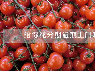 给你花分期逾期上门吗 给你花分期逾期上门吗
