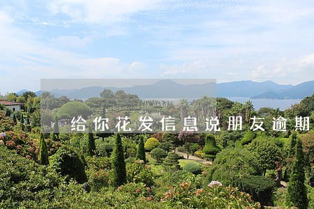 给你花发信息说朋友逾期还款 给你花发信息说朋友逾期还款