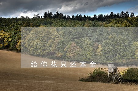 给你花只还本金 给你花只还本金
