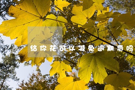给你花可以减免逾期费吗 给你花可以减免逾期费吗