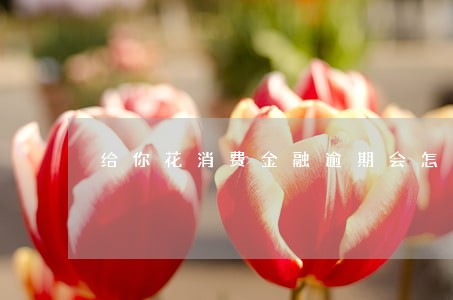 给你花消费金融逾期会怎么样 给你花消费金融逾期会怎么样