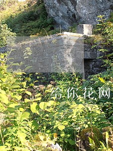 给你花网贷逾期 给你花网贷逾期