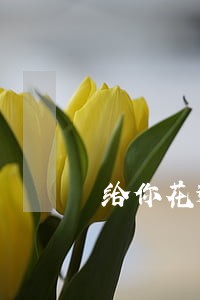给你花逾期6个月上门催收 给你花逾期6个月上门催收