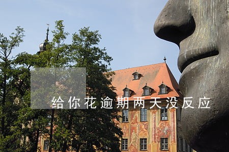 给你花逾期两天没反应 给你花逾期两天没反应